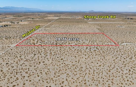 Build, Subdivide, or Invest!