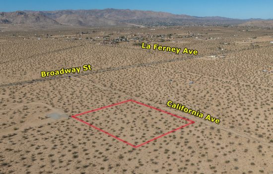 Peaceful Desert Lifestyle in Joshua Tree